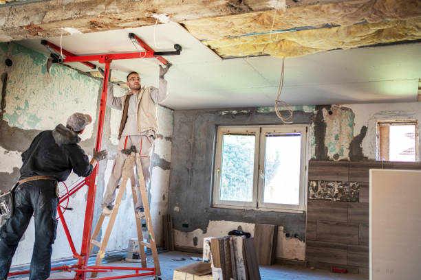 Best Residential Insulation in Homestead Meadows North, TX