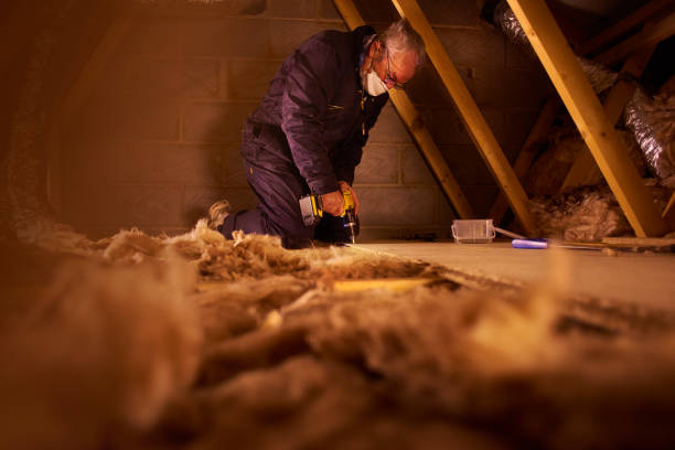 Best Blown-in Insulation in Homestead Meadows North, TX