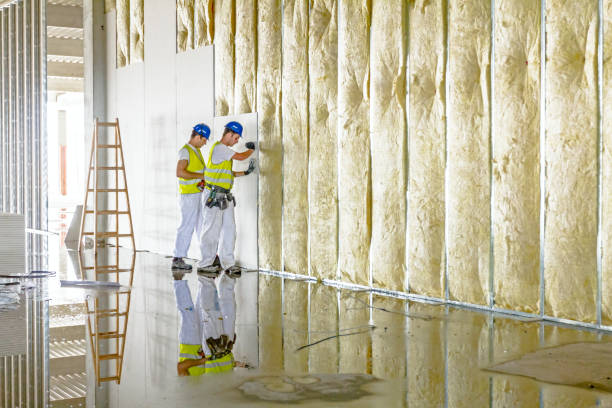 Best Insulation Maintenance and Repair in Homestead Meadows North, TX